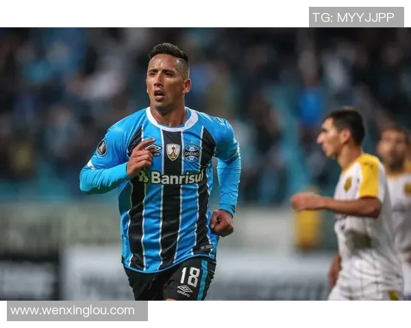 博塔弗戈与格雷米奥对决前瞻及比分预测分析