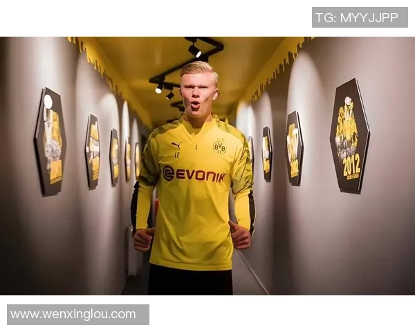 承受希勒采访，哈兰德：我的确有点想着打破你的纪录